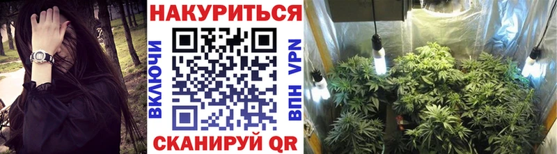 Виды наркотиков купить Великие Луки АМФ  A PVP  Мефедрон  Марихуана 