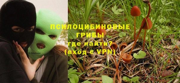 амф Белоозёрский