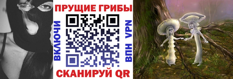 где найти наркотики Великие Луки Галлюциногенные грибы Cubensis
